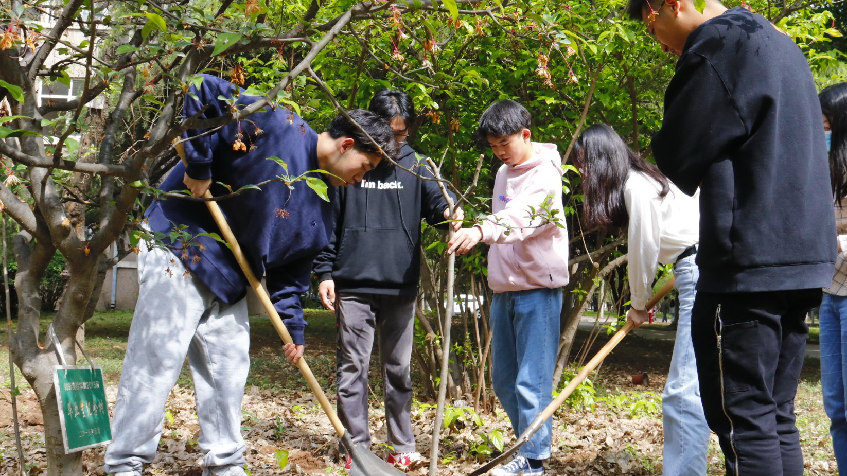 毕业生植树